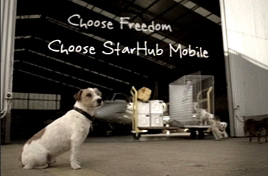 starhub