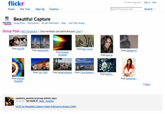 flickr_beauty flickr_beauty