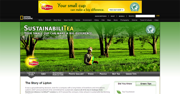 Microsite Microsite