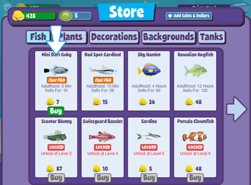 fishville_3 fishville_3