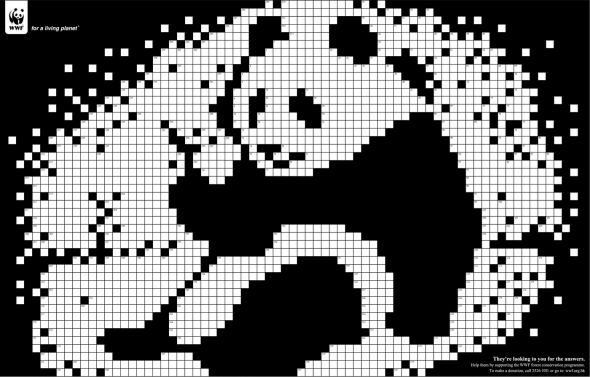 Panda_1
