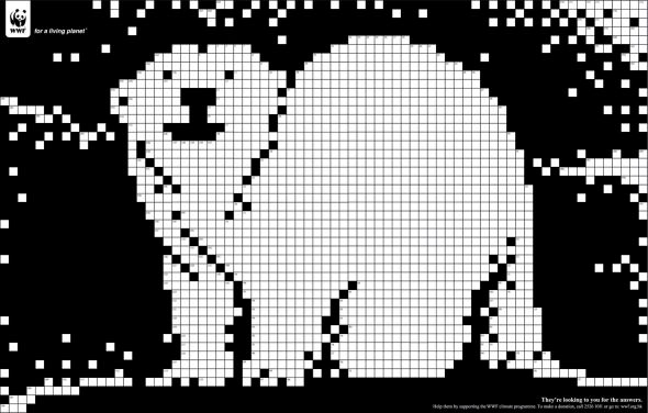 Polar_Bear