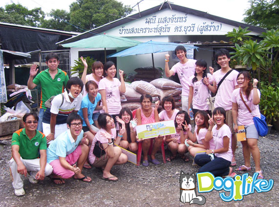 dogilike2