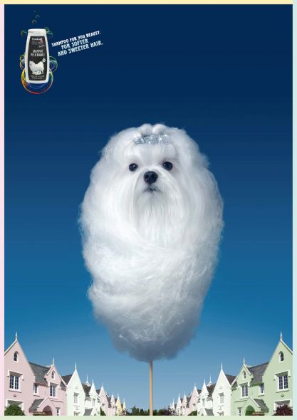doc_shampoo_white