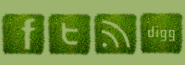 social-icon_1-5