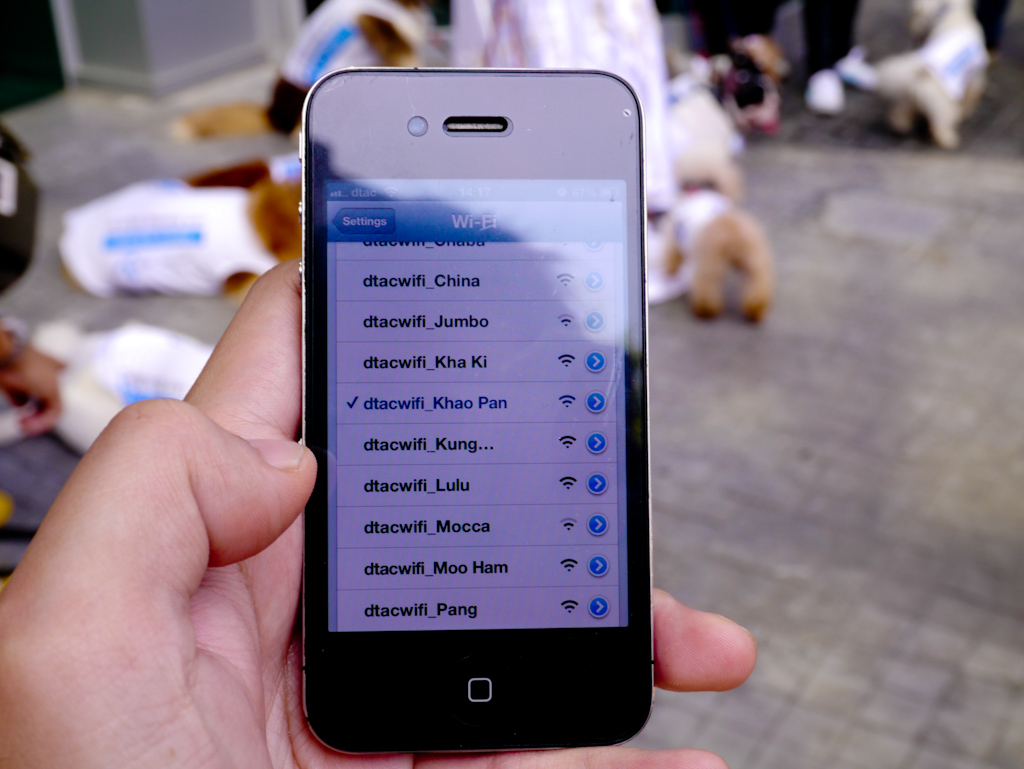 dtac-dog-hotspot
