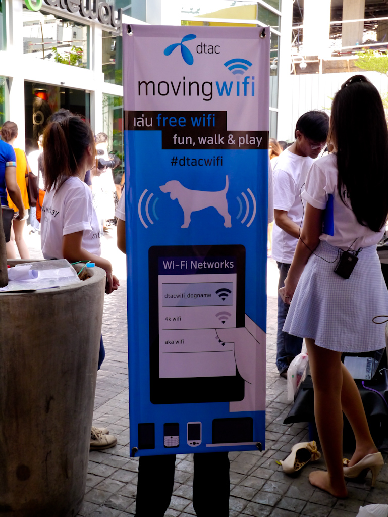 dtac-dog-hotspot