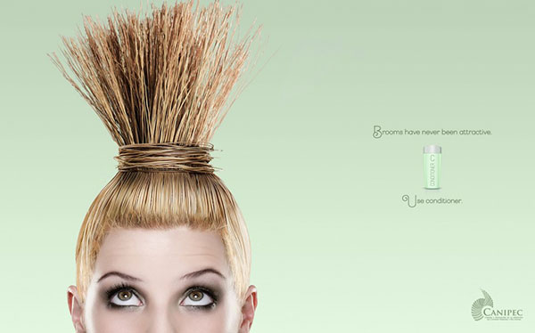 canipec conditioner