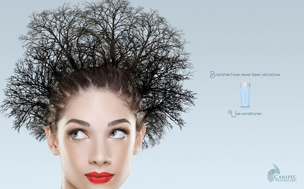 canipec conditioner