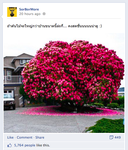 facebook_short