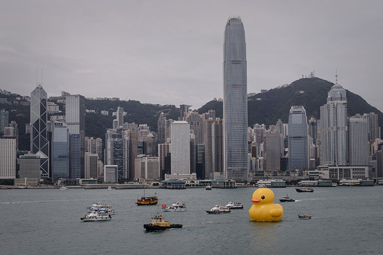 HK-duck-10