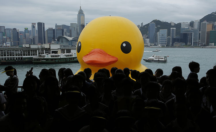 HK-duck-12