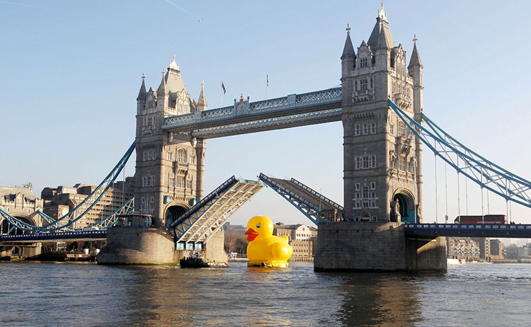 HK-duck-19