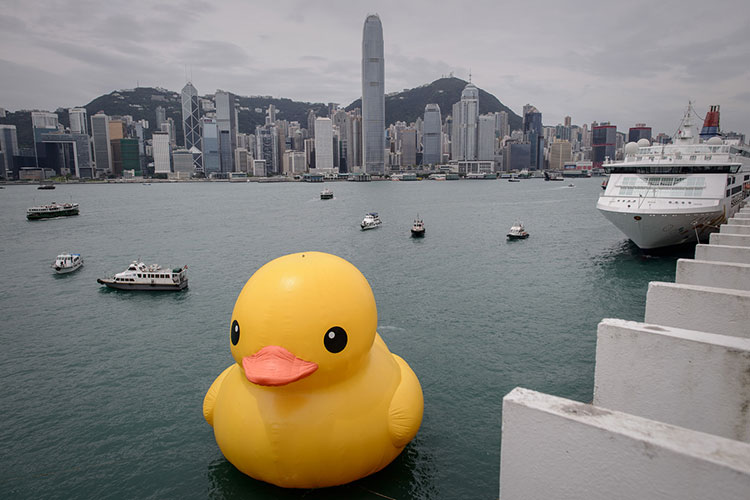 HK-duck-8