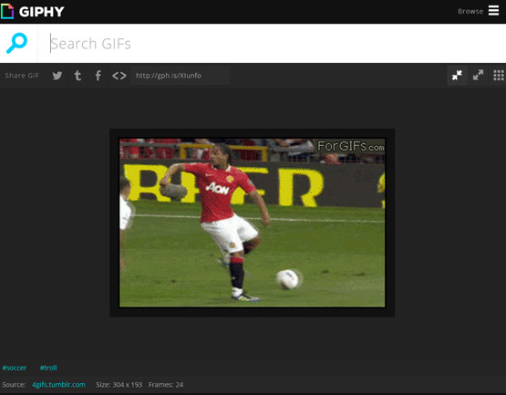 giphy3
