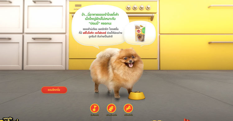 pet-degree-7