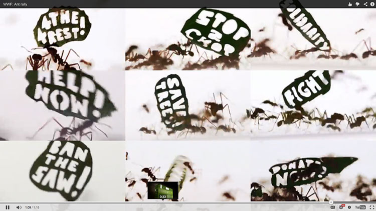 wwf-ant-rally-2
