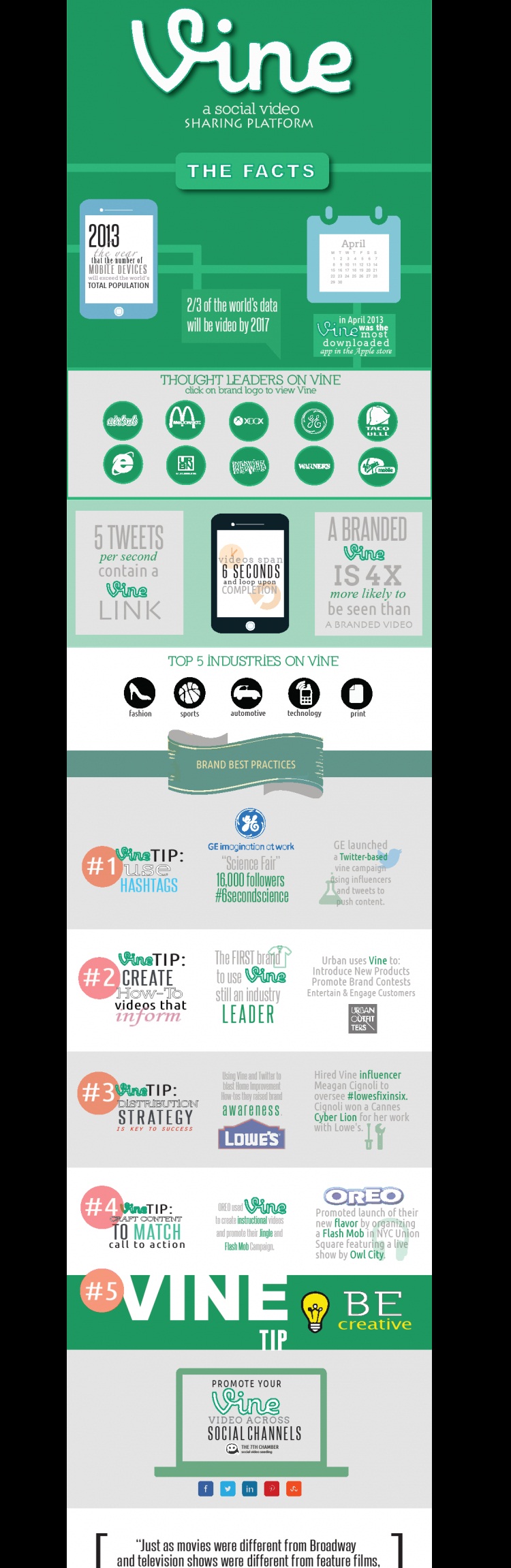 vineInfo2