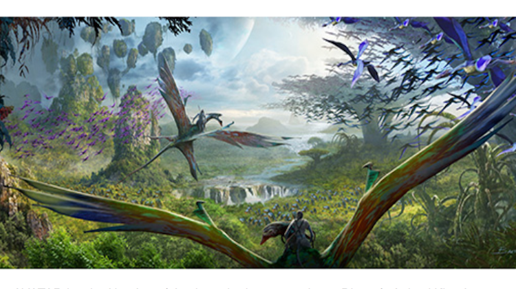 avartar3