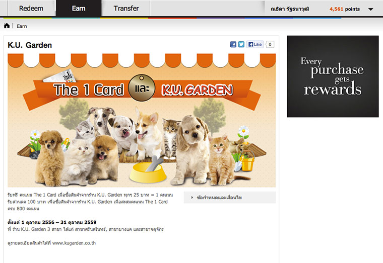 the-1-card-earn