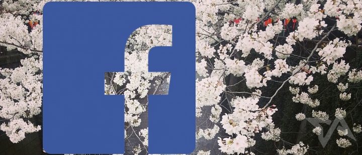 facebook-users-in-Japan-2013