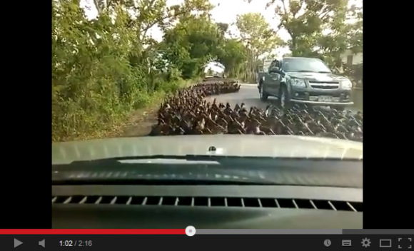 top13
