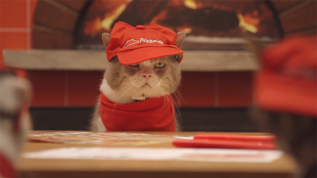 cat-pizza-hut-hed-2014