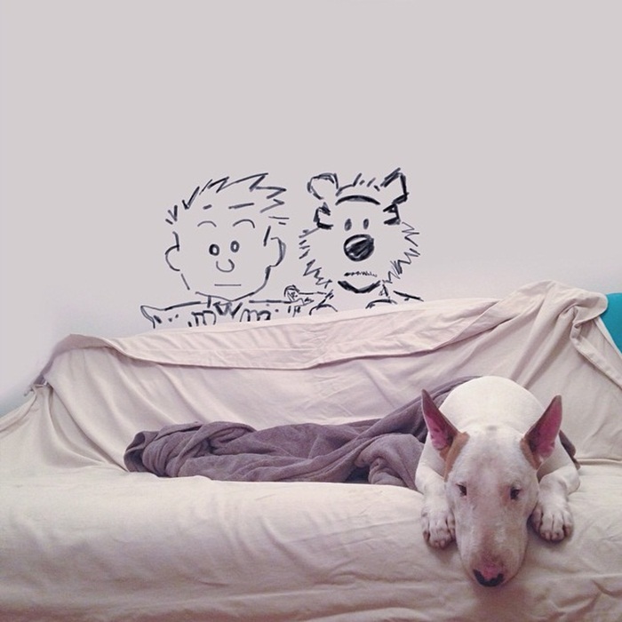 dog5