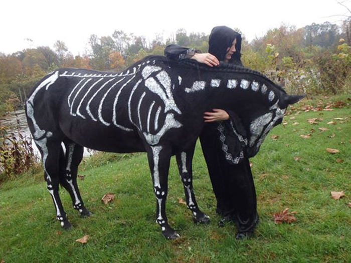halloweepet13
