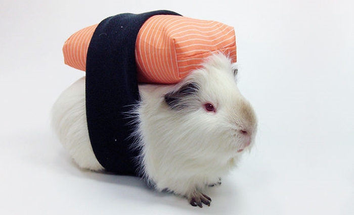 halloweepet19
