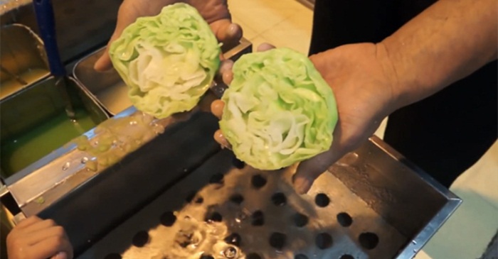plastic food