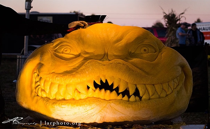 pumkin (10)