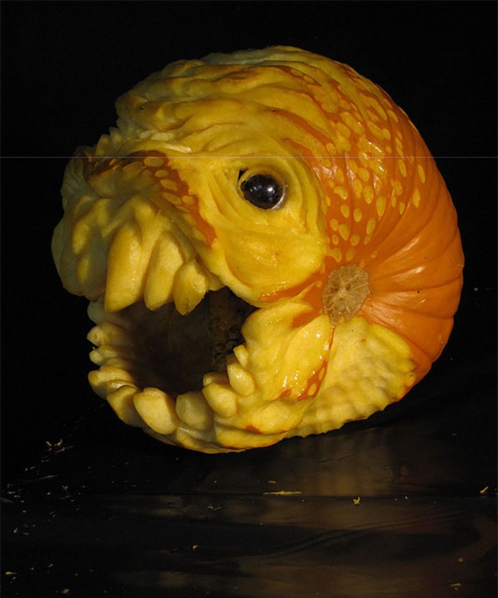 pumkin (11)