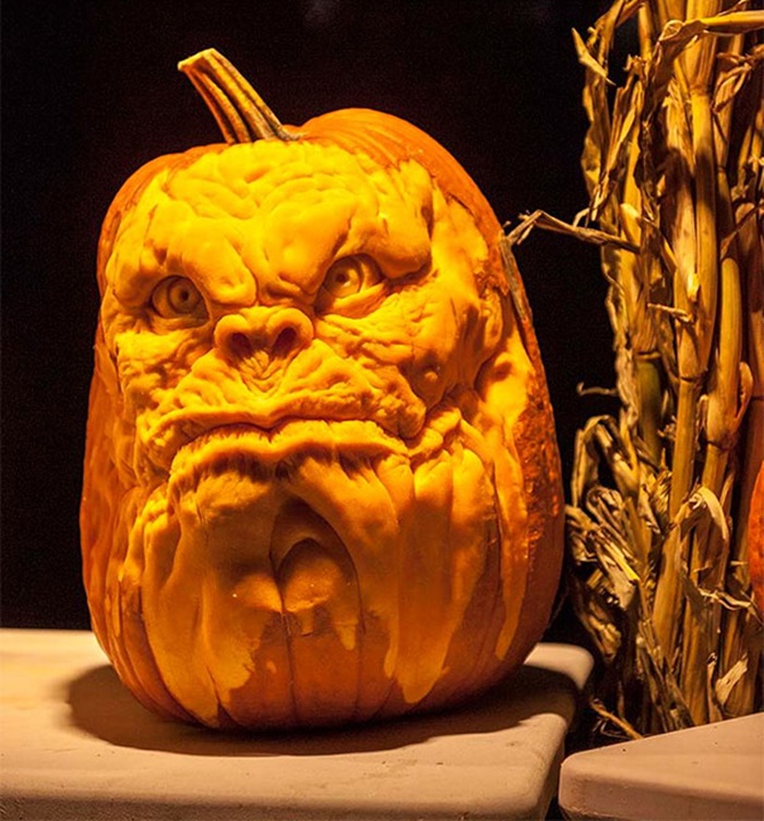 pumkin (14)
