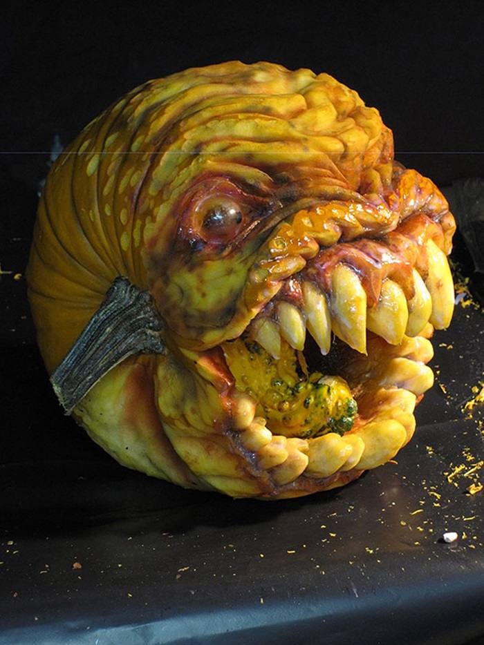 pumkin (7)