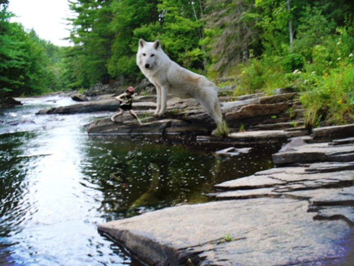 real-mononoke