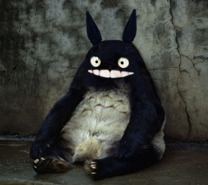 real-totoro