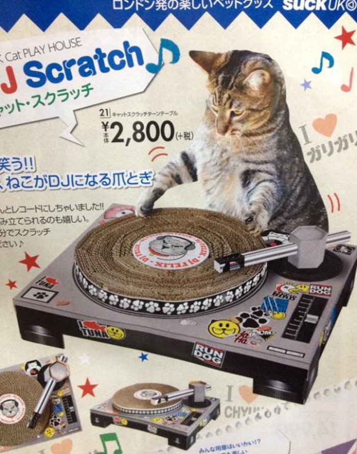 cat-dj
