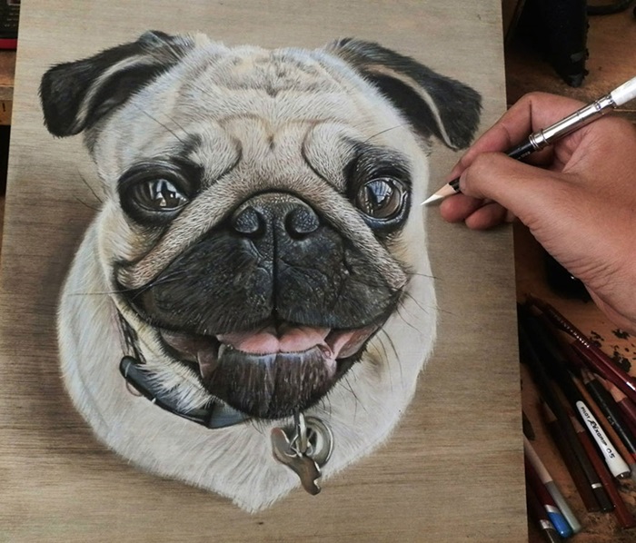 duffieHphotorealistic-drawing-wood-ivan-hoo-1