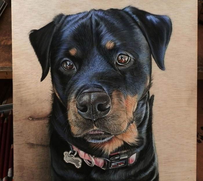 duffieHphotorealistic-drawing-wood-ivan-hoo-7