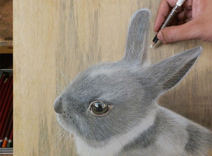 duffieHphotorealistic-drawing-wood-ivan-hoo-9