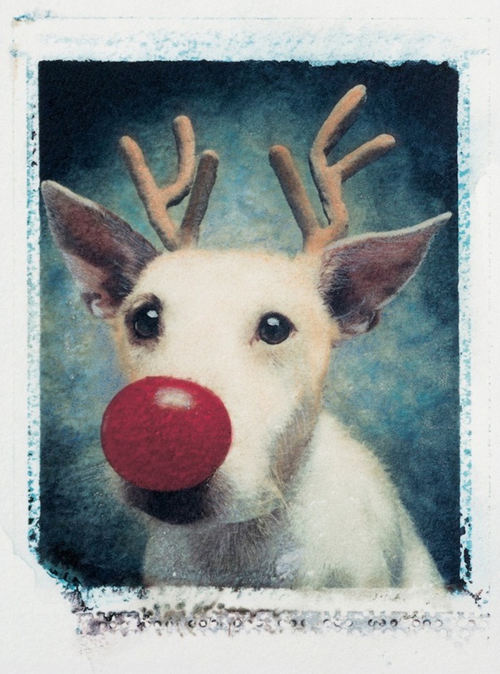 rudolph-1990