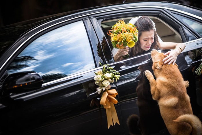 duffieHcreative-best-wedding-photography-awards-2014-ispwp-contest-9