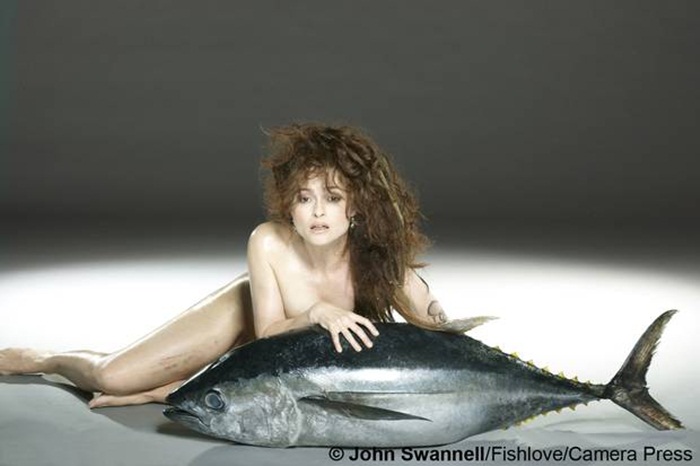 Fish Love2