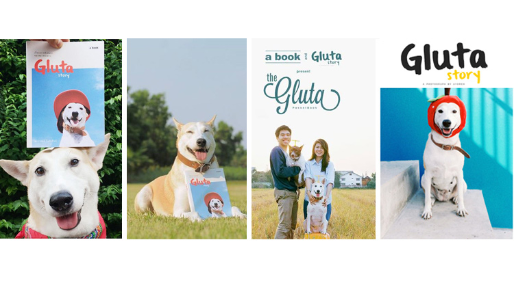 influecer-book-4