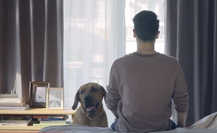 generali-vdo-featured