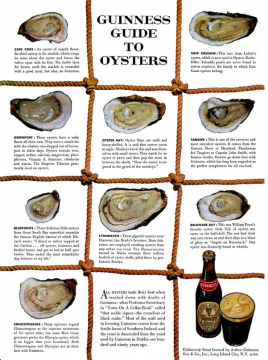 david-ogilvy-guinness-guide-to-oysters-advertorial