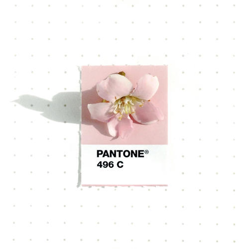3048367-slide-s-13-20-tiny-objects-color-matched-with-pantone-chips
