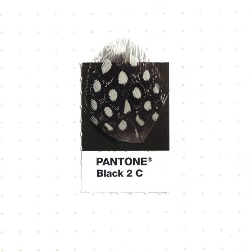 3048367-slide-s-14-20-tiny-objects-color-matched-with-pantone-chips