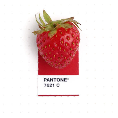 3048367-slide-s-15-20-tiny-objects-color-matched-with-pantone-chips